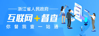 互聯(lián)網(wǎng)+督查